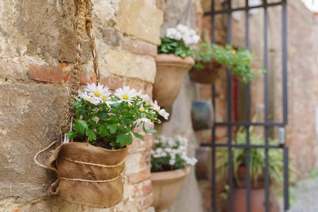 Corte Paolina - Charming Courtyard Inside Лукка Экстерьер фото