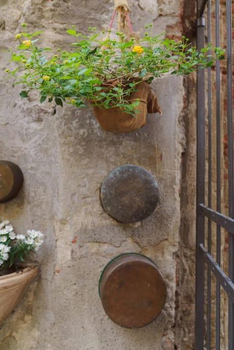 Corte Paolina - Charming Courtyard Inside Лукка Экстерьер фото